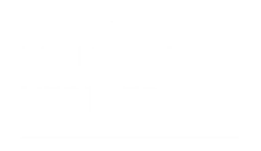 Partner Logo 6